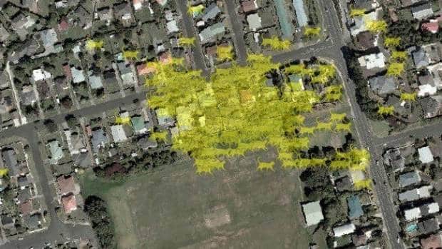 GPS reveals how far New Plymouth cats travel