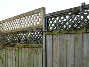 Fence with lattice