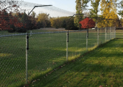 Purrfect Fence on a low chain link fence